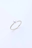 アコヤ真珠 × ダイヤモンド パヴェリング 0.09ct（5.5mm）